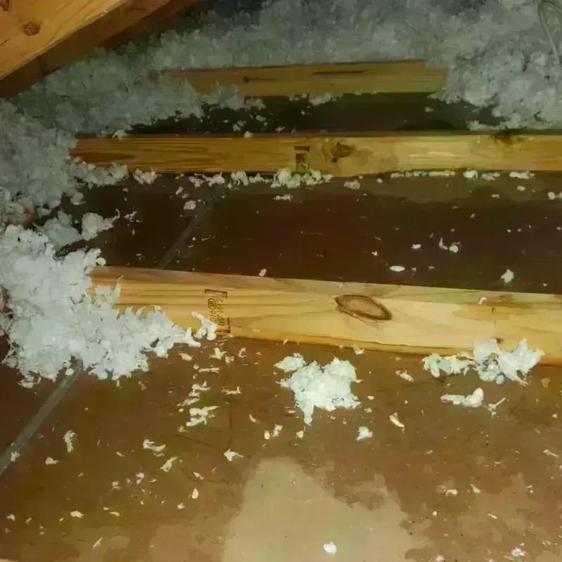 Attic Water Damage in Snyder, TX