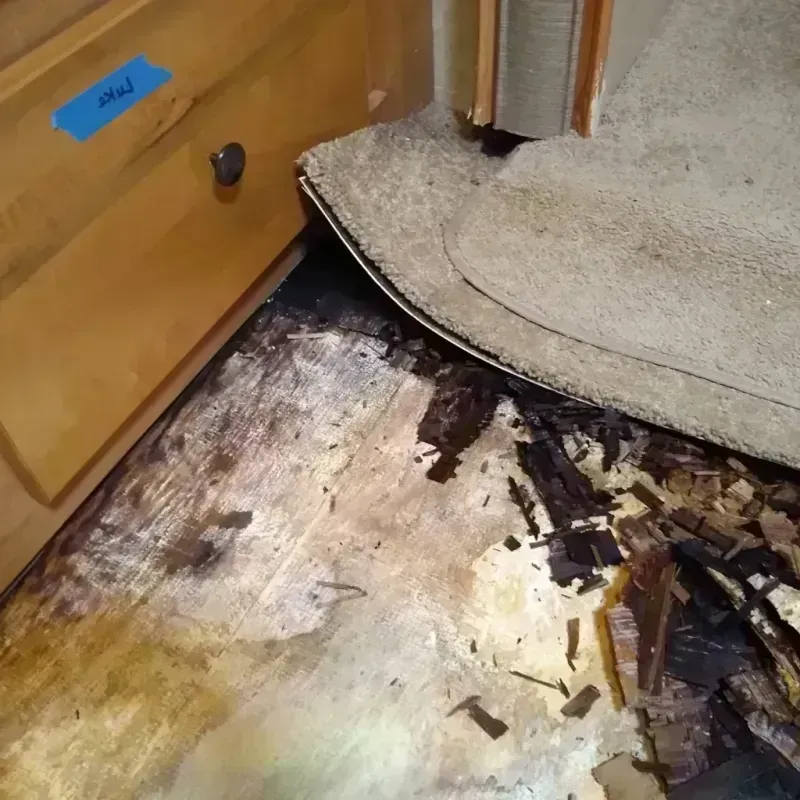 Wood Floor Water Damage in Snyder, TX